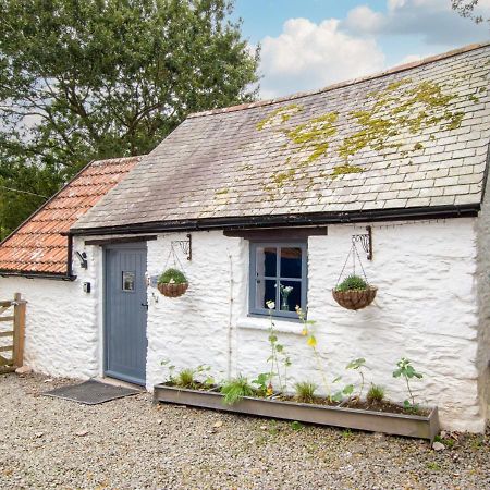 Love Cottage Combe Martin Extérieur photo